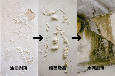 壁癌|家裡有壁癌免驚！壁癌成因與 DIY 解決方法 